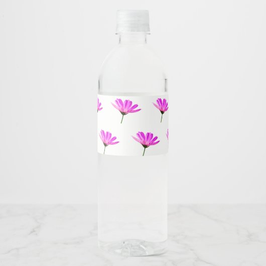 Pink Daisy Wasserflaschenetikett (Vorderseite)