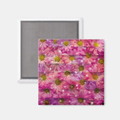 Pink Daisy Weave Magnet (Vorderseite/Rückseite)