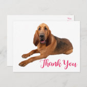 Pink danke dir Bloodhound Puppy Dock Postkarte (Vorne/Hinten)