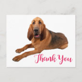 Pink danke dir Bloodhound Puppy Dock Postkarte (Vorderseite)