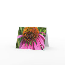 Pink Day - Danke, Cards