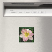 Pink Day Lily got Zähne mit 2 x 2 Magneten Magnet (In Situ (Geschirrspüler))