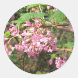 Pink der Schlüssel im Park Runder Aufkleber