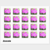 Pink Dianthus Bloom Quadratischer Aufkleber (Blatt)