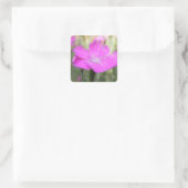 Pink Dianthus Bloom Quadratischer Aufkleber (Tasche)