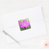 Pink Dianthus Bloom Quadratischer Aufkleber (Umschlag)