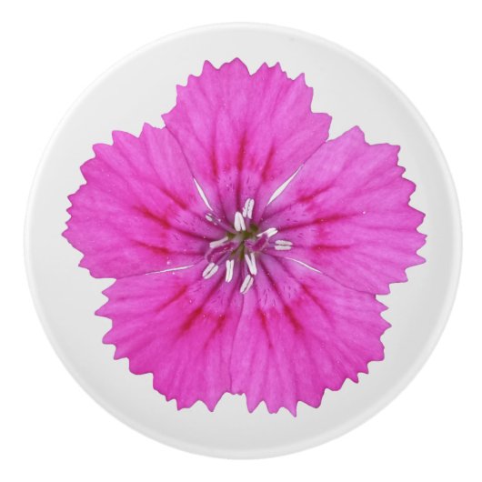 Pink Dianthus Keramikknauf (Vorderseite)