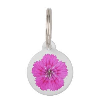 Pink Dianthus Pet Tag Haustiermarke