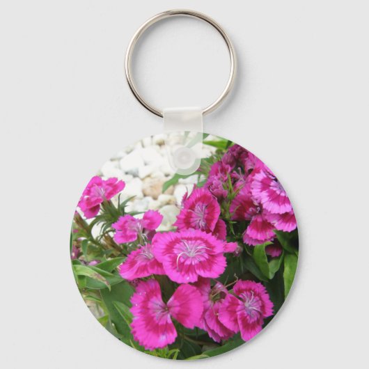 Pink Dianthus/Sweet William Schlüsselanhänger (Vorderseite)