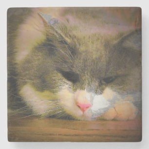 Pink die Katze Sullen Stimmung traurig Kitty Steinuntersetzer