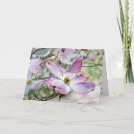 Pink Dogwood Blossoms Christian Note Card  Karte