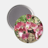 Pink Dogwood Flower Fotomagnet Magnet (Vorderseite/Rückseite)
