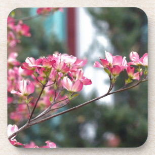 Pink Dogwood Untersetzer