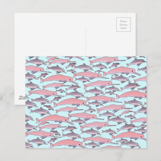 Pink Dolphin Pattern Postkarte (Vorne/Hinten)
