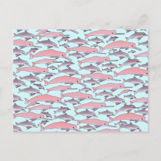 Pink Dolphin Pattern Postkarte