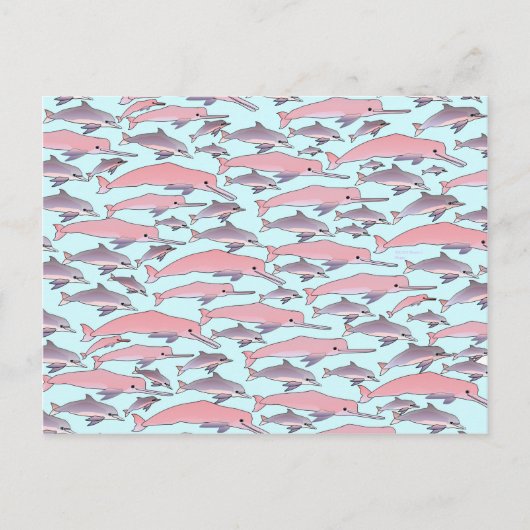 Pink Dolphin Pattern Postkarte (Vorderseite)