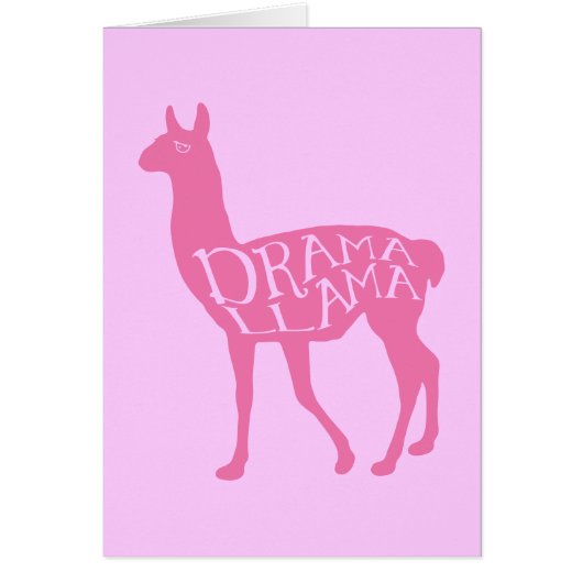 Pink Drama Llama (Vorne)