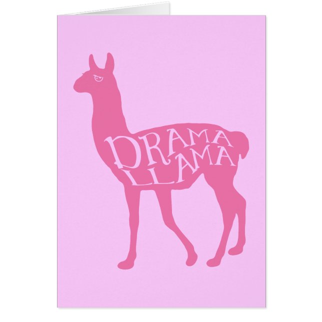 Pink Drama Llama (Vorne)