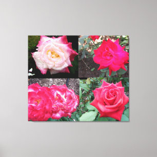 PINK ELEGANT ROSE CANVAS DRUCKEN LEINWANDDRUCK