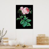 Pink English Rose Black Hintergrund Poster (Küche)