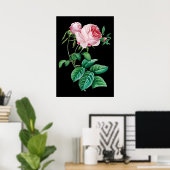 Pink English Rose Black Hintergrund Poster (Heimbüro)