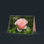 Pink English Rose Sister Happy Birthday Karte<br><div class="desc">Der Text der Karte,  den Sie ändern und personalisieren können. "Eine Schwester ist wie eine Rose ~ Beautiful,  aber achten Sie auf die Dornen! Nur ein Scherz über die Dornen! Viel Liebe an deinem Geburtstag!" Dies ist eine Vorlage,  die es einfach zu anpassen.</div>