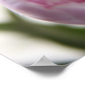 Pink-Erdnussplakat Poster (Ecke)