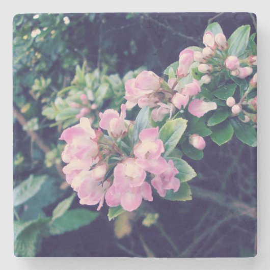 Pink Escallonia Floral Steinuntersetzer (Vorderseite)