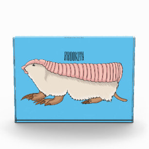 Pink fairy armadillo cartoon illustration fotoblock