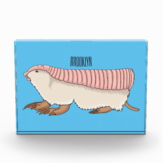 Pink fairy armadillo cartoon illustration fotoblock (Vorderseite)