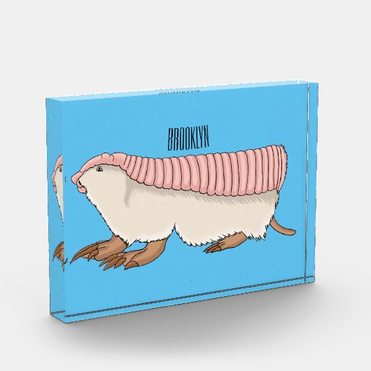 Pink fairy armadillo cartoon illustration fotoblock (Links)