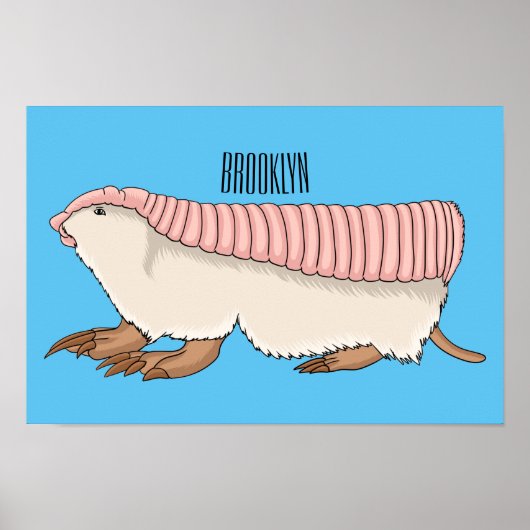 Pink fairy armadillo cartoon illustration poster (Vorne)