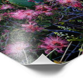 Pink Fairy Duster Blume & Prickly Pear Cactus Fotodruck (Ecke)