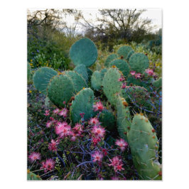 Pink Fairy Duster Blume & Prickly Pear Cactus Fotodruck