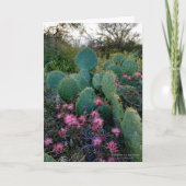 Pink Fairy Duster Blume & Prickly Pear Cactus Karte (Vorderseite)