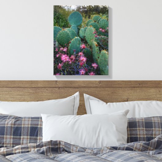 Pink Fairy Duster Blume & Prickly Pear Cactus Leinwanddruck (Insitu (Schlafzimmer))