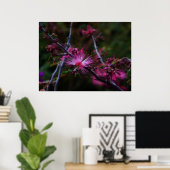 Pink Fairy Duster Druck Poster (Heimbüro)