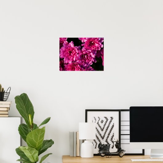 Pink Fall Mums Poster (Heimbüro)