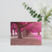 Pink Fantasy Park Postkarte (Stehend Vorderseite)