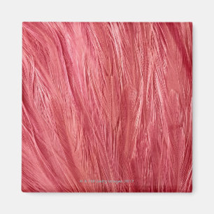 Pink Feathers Magnet