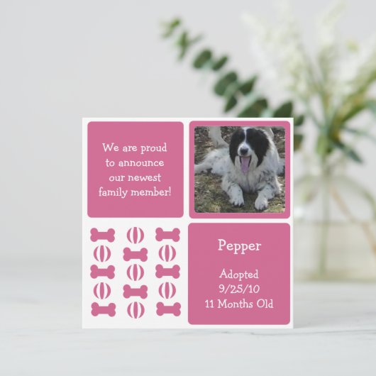 Pink Female Hund Ankündigung Foto-Karten (Stehend Vorderseite)