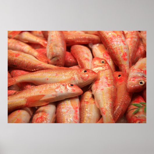 Pink Fish Poster/Print Poster (Vorne)