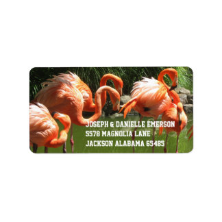 Pink Flamingo Address Labels Adressaufkleber