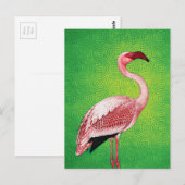 Pink Flamingo auf Retro Green Pattern Postkarte (Vorne/Hinten)