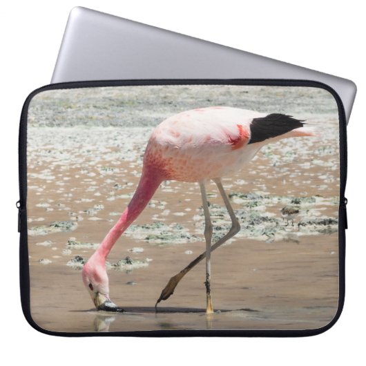 PINK FLAMINGO AUF WASSERKÖRPER LAPTOPSCHUTZHÜLLE (Vorderseite)