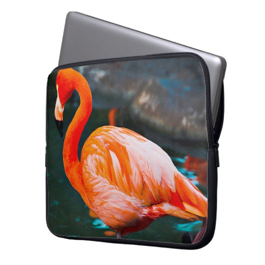 Pink Flamingo Bird Fotografie Schöne Moderne Laptopschutzhülle (Vorderseite Links)