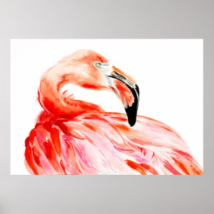 Pink Flamingo bird profile portrait, amazing beaut Poster
