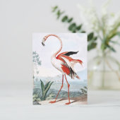 Pink Flamingo Bird Vintage Kunst Postkarte (Stehend Vorderseite)