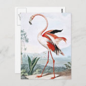 Pink Flamingo Bird Vintage Kunst Postkarte (Vorne/Hinten)