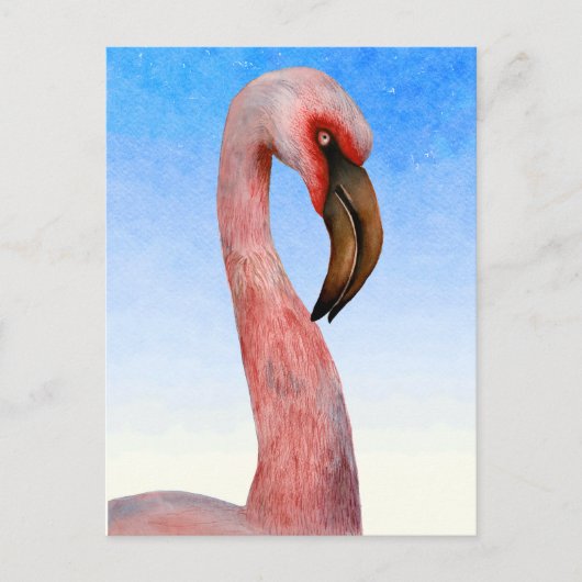 Pink Flamingo Bird Wasserfarbenmalerei Postkarte (Vorderseite)